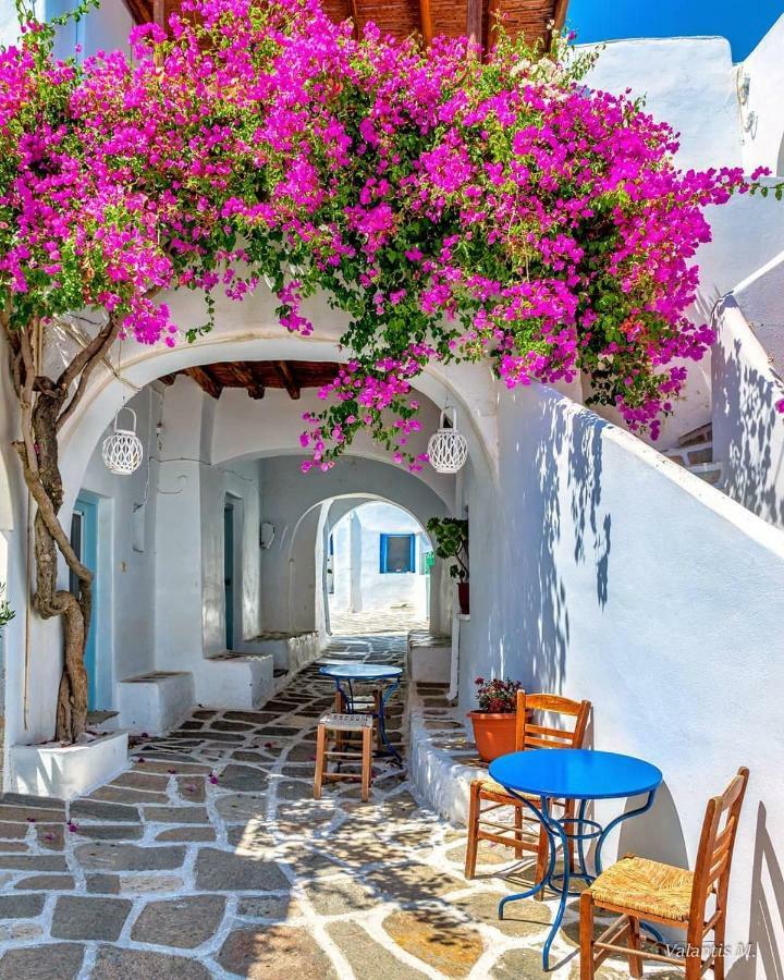 Dhragoulas Villa Kavalli Paros מראה חיצוני תמונה
